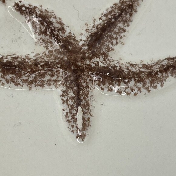 Zodax Seashell Plate Lot of 2 Nautical Beach Home Decor Embossed Seahorse Ocean - Picture 5 of 15